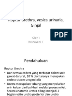Ruptur Urethra, Vesica Urinaria, Ginjal