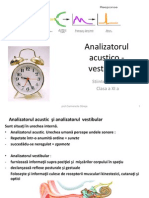 Analizatorul Acustico - Vestibular