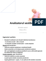 Analizatorul Vestibular