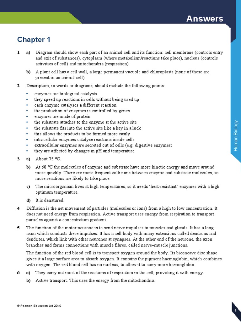 End Of Chapter Questions Biology Answers Igcse Chapter 3