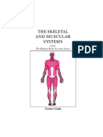 Hbs Skeleta and Muscular Systems Tg