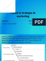 Planul Și Strategia de Marketing
