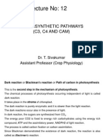 Lecture No: 12: Photosynthetic Pathways (C3, C4 and Cam)