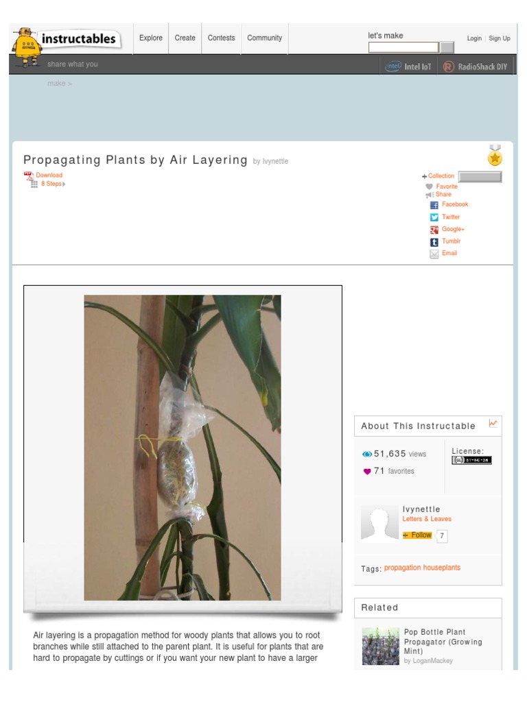 Air Layering Techniques for Dracaena | PDF | Ficus | Moss