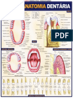 Resumão Medicina 19 - Anatomia Dentária - Maria Ignez T. França.pdf