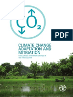 Climate Change Adaptation and Mitigation