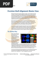 Alignment Ma Ster Class 2 Day