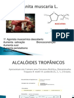 ALCALÓIDES+TROPÂNICOS