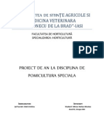 Proiect Pomi