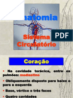 Anatomia - Sistema Circulatório