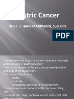 Gastric Cancer 2