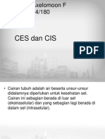 Ces Dan Cis