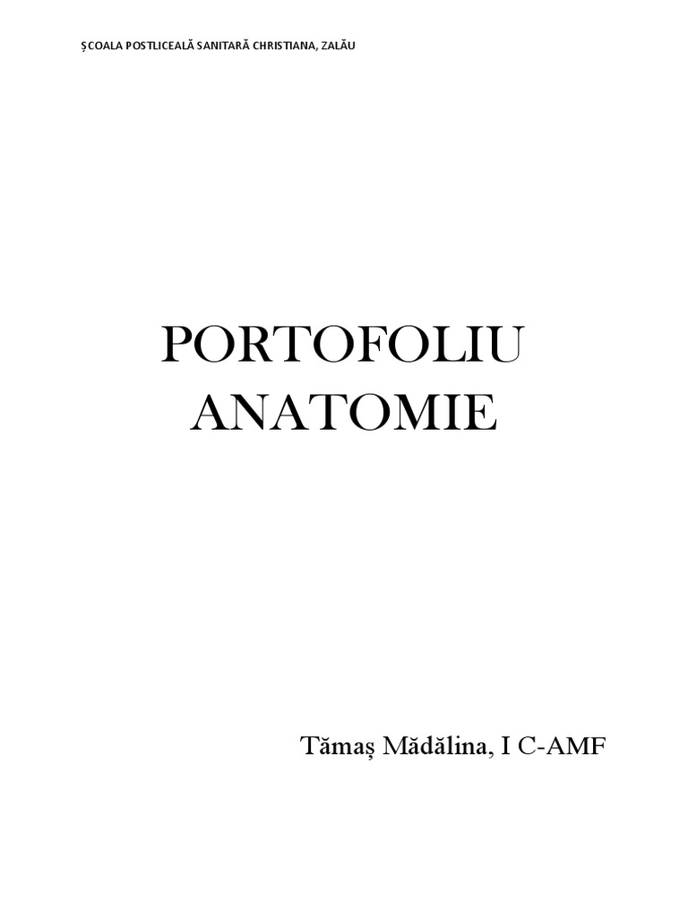 Portofoliu Anatomie | PDF