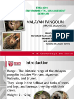 Malayan Pangolin: EMG 4991 Environmental Management Seminar