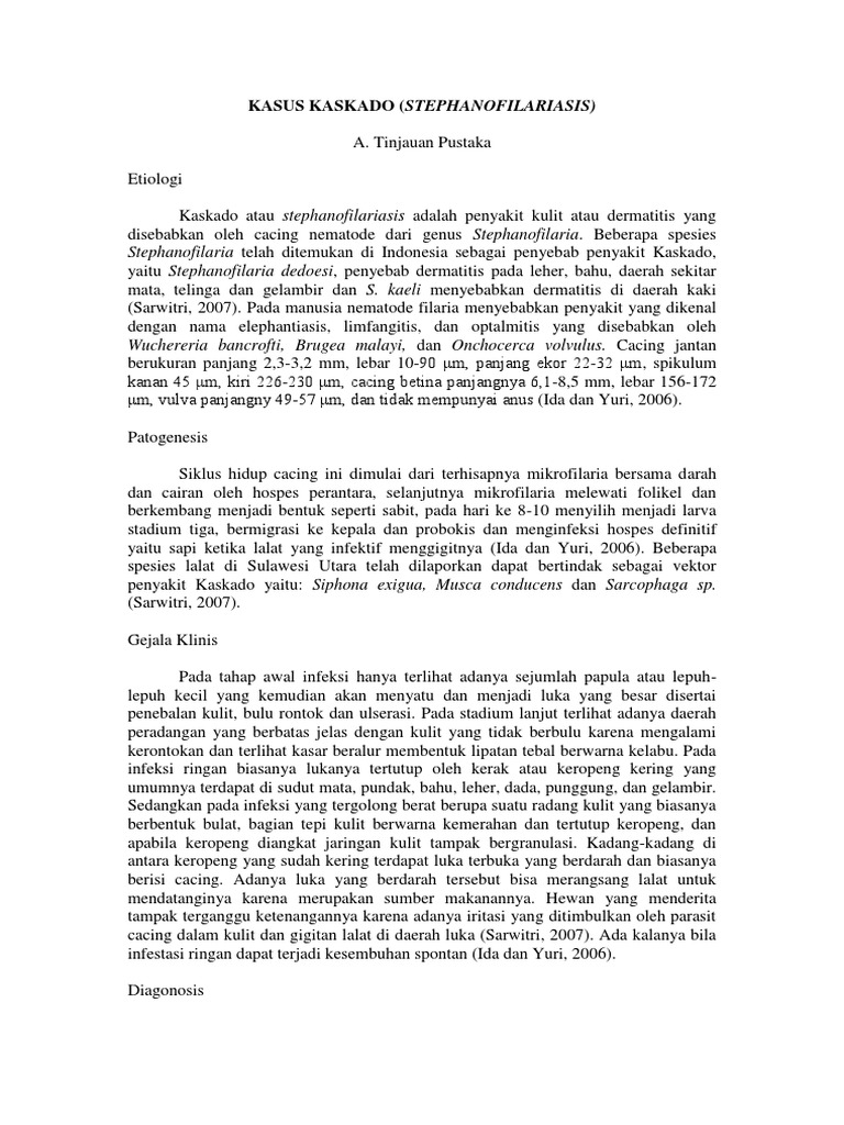 Kaskado | PDF