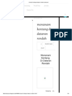 Menanam Kentang Di Dataran Rendah - Kandarasan PDF