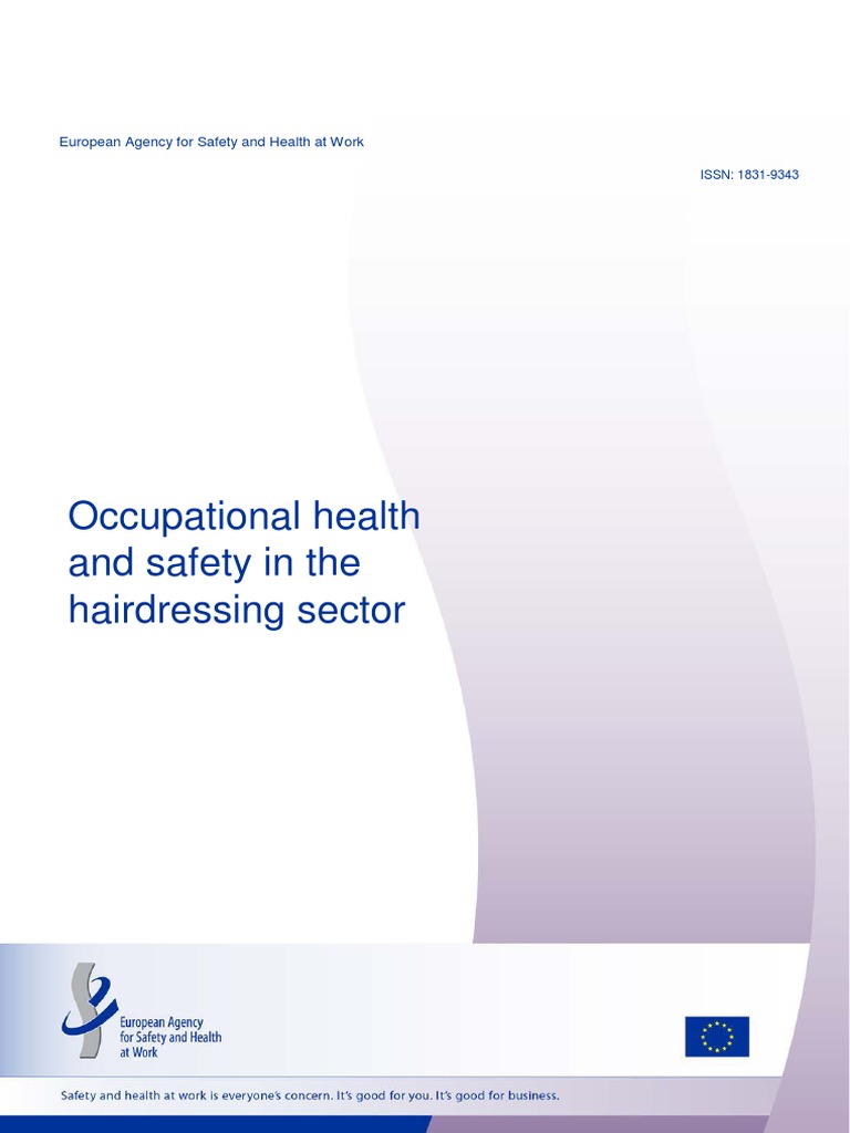 Occupational Health and Safety in The Hairdressing Sector PDF PDF Occupational Safety And