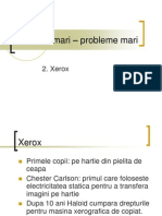 2-Branduri Mari – Probleme Mari - Xerox (1)