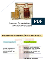 Aula 1- Processos Fermentativo Industrial (2)