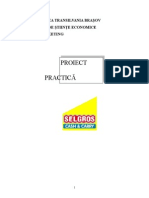 Proiect Practica - Selgros