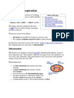 Cellular Respiration: Mitochondria