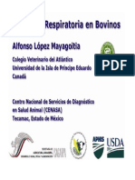 04-bovinos.pdf