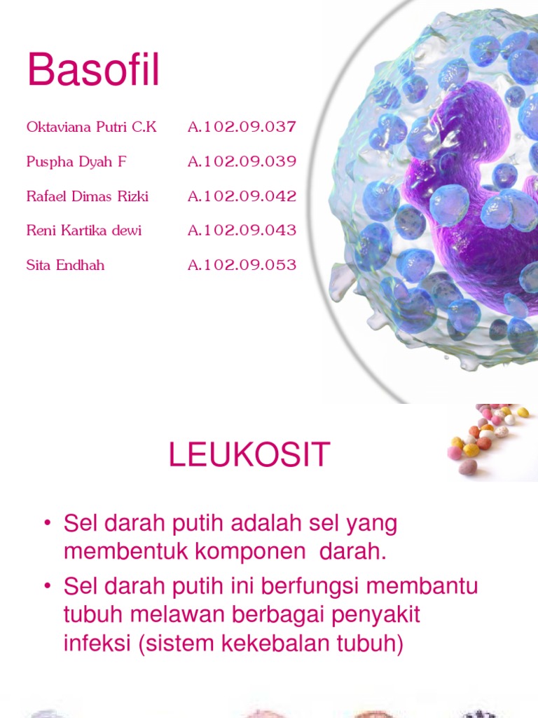 Basofil | PDF
