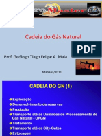 Cadeia Produtiva Gas