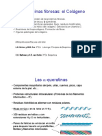 Tema 2. Proteinas Fibrosas(2)