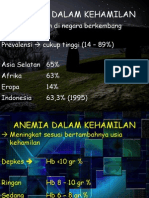 Anemia Dalam Kehamilan