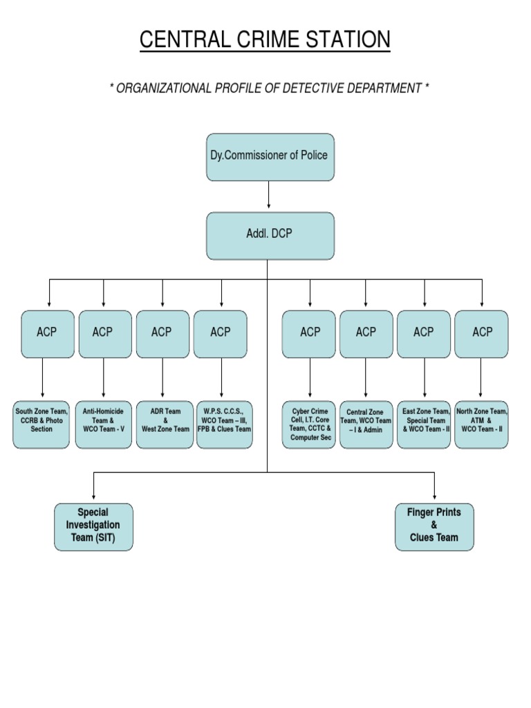 Detective Department Structure | PDF | Social Science