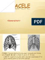 Toracele - Anatomie Regionala Si Topografica