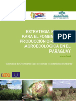 Estrategia Paraguay - 2008