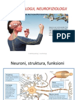 Neurofiziologji
