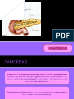 Pancreas