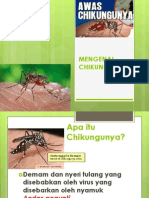 Mengenal Chikungunya