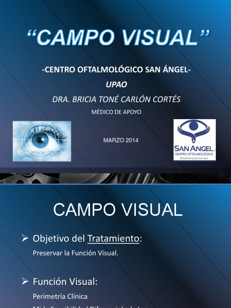 Tratamiento Y Exploraci n De Escotomas PDF Percepci n Visual 