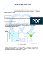 Tratamento Biologico de Efluentes