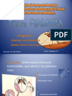Exposiciondeparasitologa Malaria 121029134205 Phpapp01