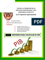 Metodos para Calcular El PBI