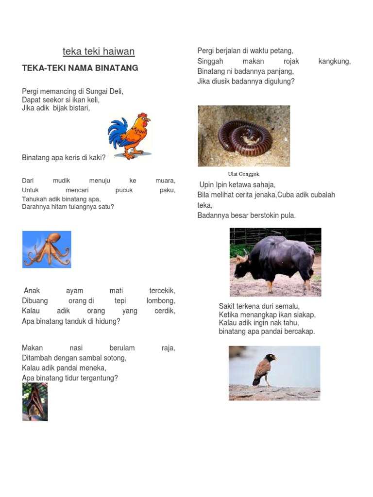 Teka Teki Haiwan Pdf