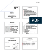 Hand Out 6 Kromosomdnarnasintesis Protein PDF