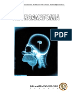 [Med ITA] Neuroanatomia