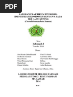 Download Laporan Fitokimia Biji Labu Kuning by rizarosyitayustinianus SN251803196 doc pdf