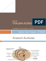 Trauma Aurikuler