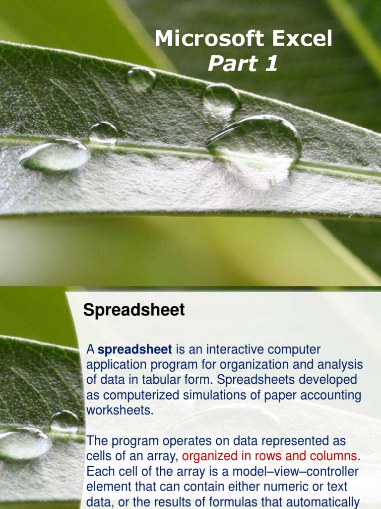 Excel Spreadsheet Basics and Functions | PDF