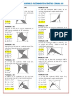 Areas y Perimetros Sombreados