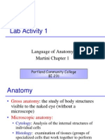 Lab Activity 1: Language of Anatomy Martini Chapter 1