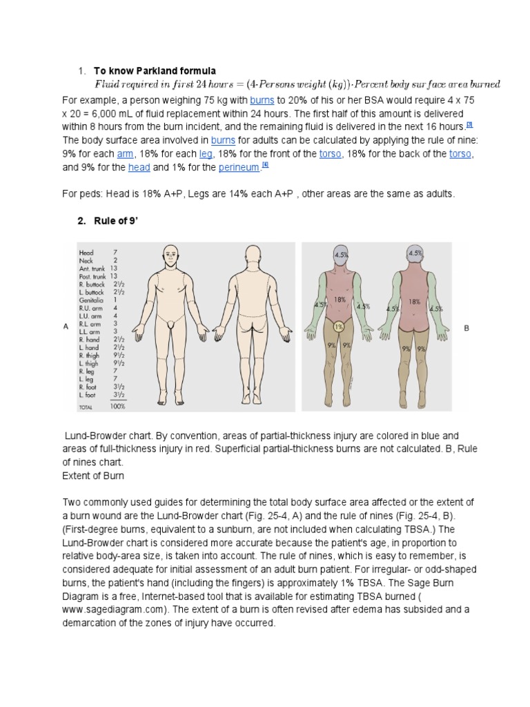 Med Surg Burns PDF Burn Pain
