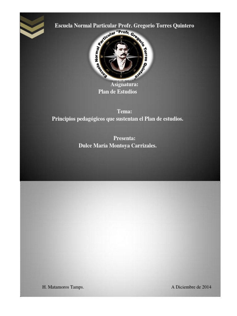 Principios Pedagógicos del Plan 20011 | PDF | Plan de estudios ...